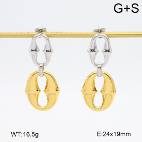 2E2006494abol-434  Stainless Steel Earrings