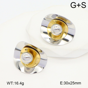 2E2006495bbov-434  Stainless Steel Earrings