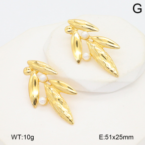 2E3003794vbmb-434  Stainless Steel Earrings