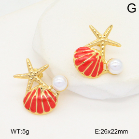 2E3003799baka-434  Stainless Steel Earrings