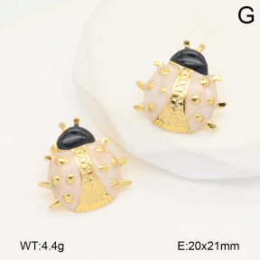 2E3003809baka-434  Stainless Steel Earrings