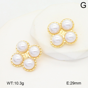 2E3003812ablb-434  Stainless Steel Earrings