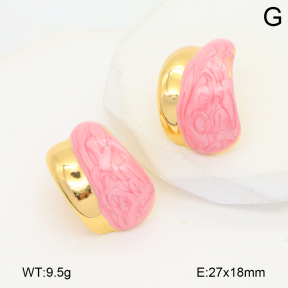 2E3003817aakl-434  Stainless Steel Earrings