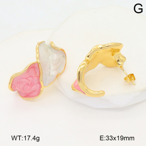 2E3003819vbnl-434  Stainless Steel Earrings