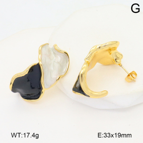 2E3003821vbnl-434  Stainless Steel Earrings