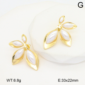 2E3003822vbll-434  Stainless Steel Earrings