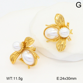 2E3003823bbov-434  Stainless Steel Earrings