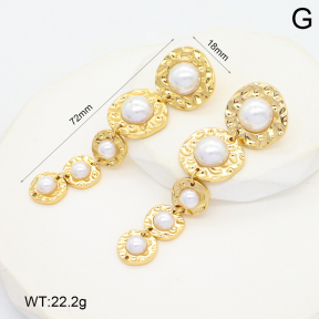 2E3003824bhia-434  Stainless Steel Earrings