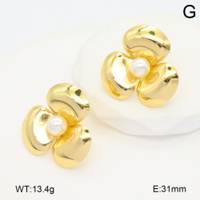 2E3003825ablb-434  Stainless Steel Earrings