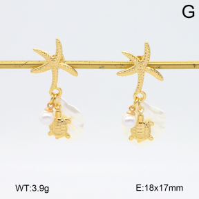 2E3003826vbmb-434  Stainless Steel Earrings