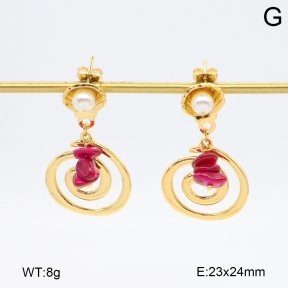 2E3003828vbmb-434  Stainless Steel Earrings