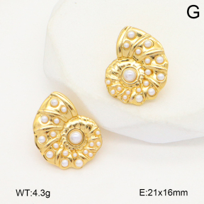 2E3003829ablb-434  Stainless Steel Earrings