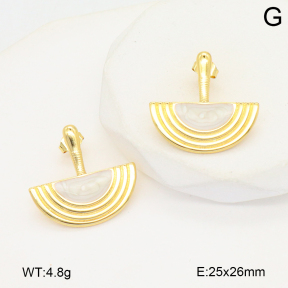 2E3003831baka-434  Stainless Steel Earrings