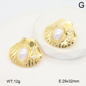 2E3003833aakl-434  Stainless Steel Earrings