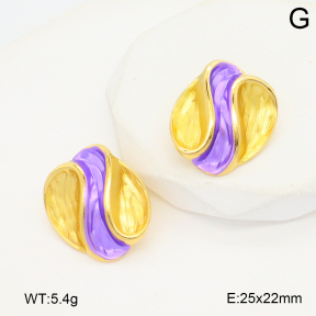 2E3003834vbnl-434  Stainless Steel Earrings