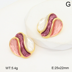 2E3003835vbnl-434  Stainless Steel Earrings