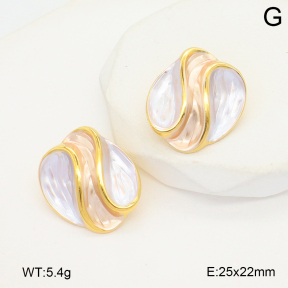 2E3003836vbnl-434  Stainless Steel Earrings