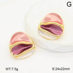 2E3003838vbnl-434  Stainless Steel Earrings