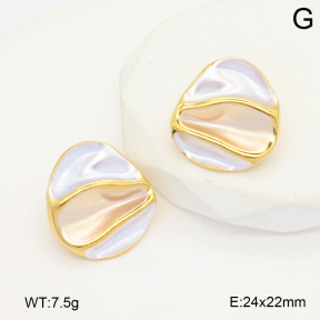 2E3003839vbnl-434  Stainless Steel Earrings