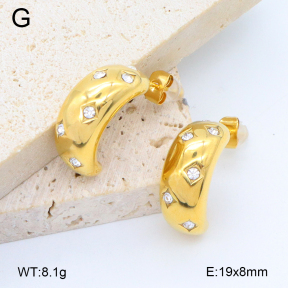2E4004696vbpb-497  Stainless Steel Earrings