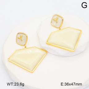 2E4004724vhhl-434  Stainless Steel Earrings