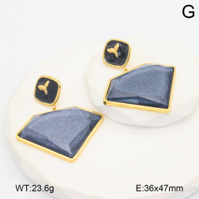 2E4004725vhhl-434  Stainless Steel Earrings
