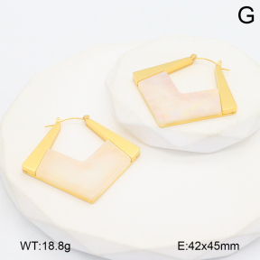 2E4004726bhbl-434  Stainless Steel Earrings