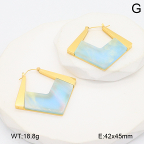 2E4004727bhbl-434  Stainless Steel Earrings