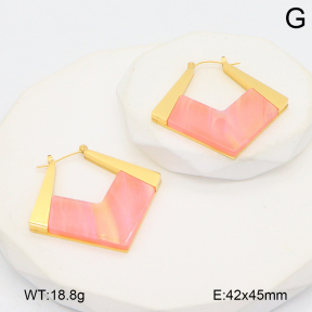 2E4004728bhbl-434  Stainless Steel Earrings