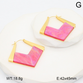 2E4004729bhbl-434  Stainless Steel Earrings