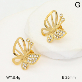 2E4004730vbll-434  Stainless Steel Earrings