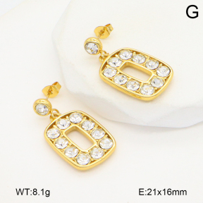2E4004731vbnl-434  Stainless Steel Earrings