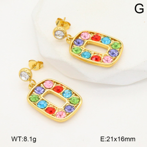 2E4004732vbnl-434  Stainless Steel Earrings