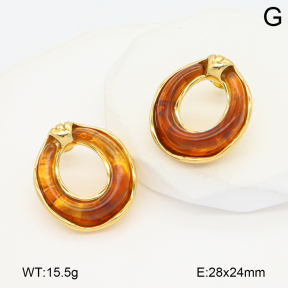 2E4004733vbnl-434  Stainless Steel Earrings