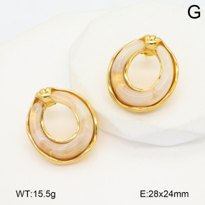 2E4004734vbnl-434  Stainless Steel Earrings