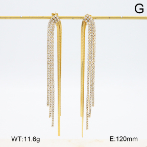 2E4004737vhkb-434  Stainless Steel Earrings