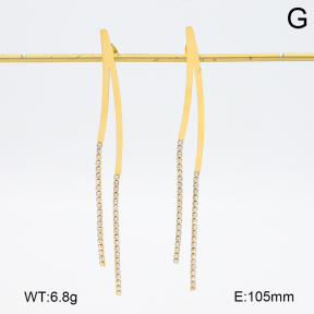 2E4004738bvpl-434  Stainless Steel Earrings