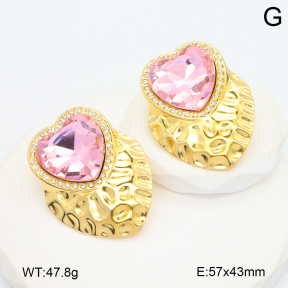 2E4004739bhbl-434  Stainless Steel Earrings