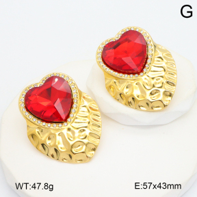 2E4004740bhbl-434  Stainless Steel Earrings