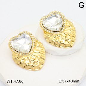 2E4004741bhbl-434  Stainless Steel Earrings