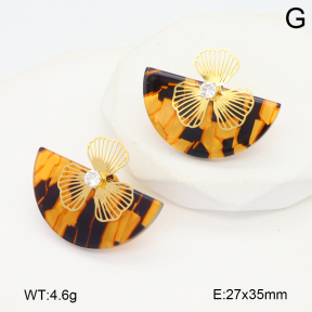 2E4004743vbnl-434  Stainless Steel Earrings