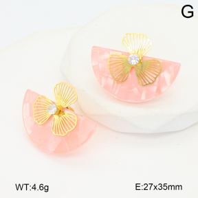 2E4004745vbnl-434  Stainless Steel Earrings