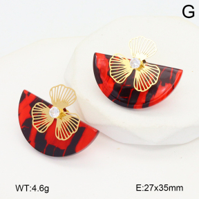 2E4004746vbnl-434  Stainless Steel Earrings