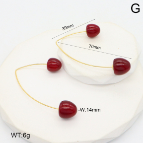 2E4004748aakl-434  Stainless Steel Earrings