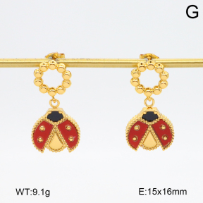 2E4004749vbmb-434  Stainless Steel Earrings