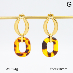 2E4004750vbnl-434  Stainless Steel Earrings