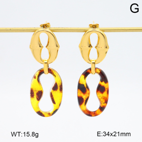 2E4004751bbov-434  Stainless Steel Earrings