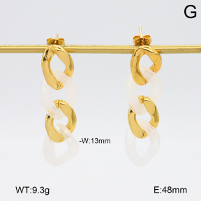 2E4004754bbml-434  Stainless Steel Earrings