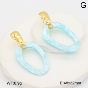 2E4004755abol-434  Stainless Steel Earrings