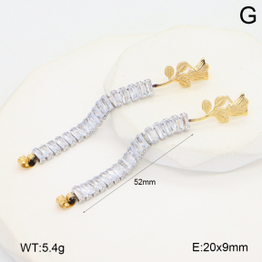 2E4004756vbnb-434  Stainless Steel Earrings